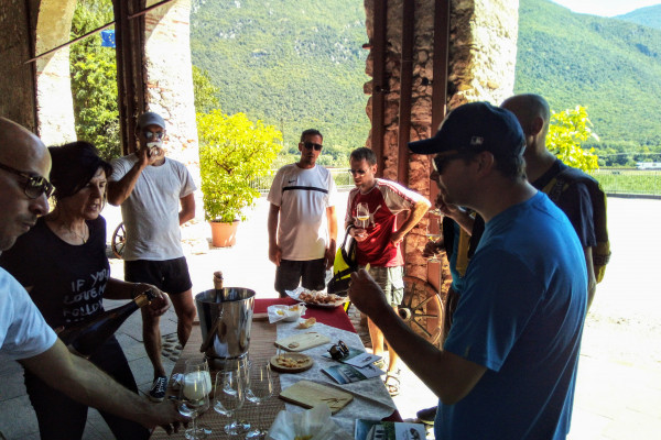Wine tasting