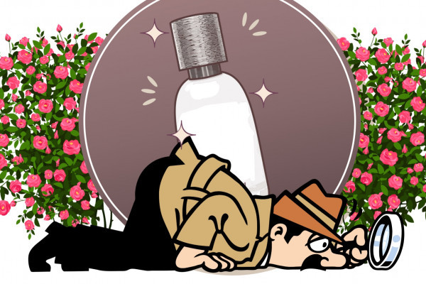 the adventures of inspector Nosy and the stolen perfume at Candora in Paris