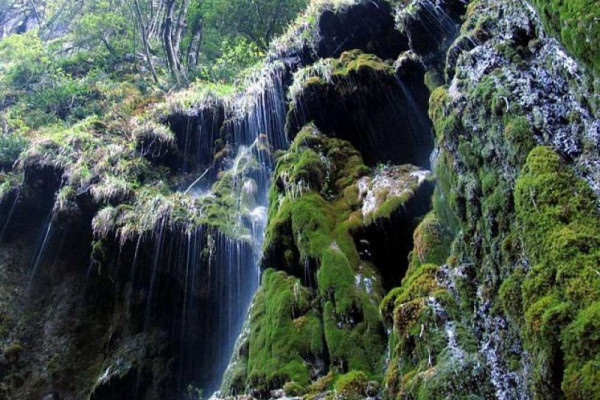 The majestic fossilised moss walls