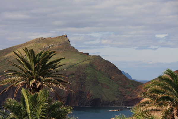Rest in the midst of unreal palm trees with a fantastic view.