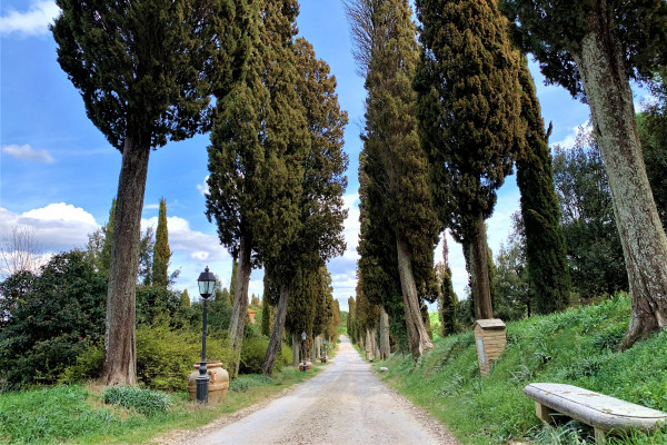 Via Francigena - Tuscany dirty road... 
