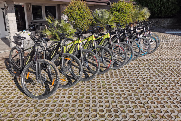 Piran rent a electric bike