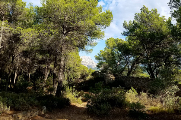 Mont Sainte-Victoire as seen from Bibémus.