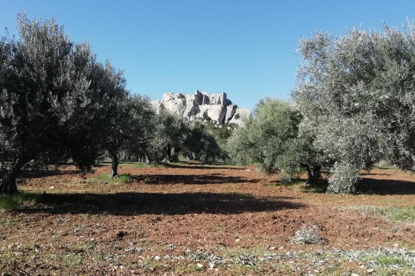 Les Baux de Provence