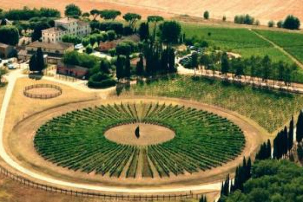 Avignonesi Winery