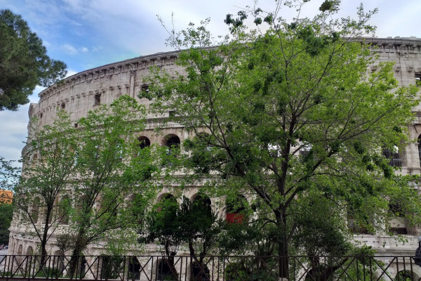 Colisseum