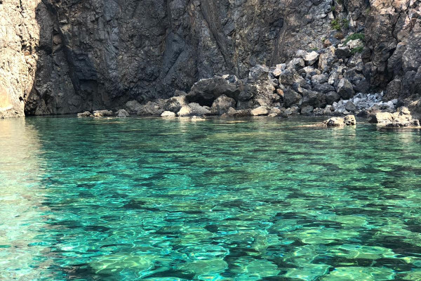 swimming in wonderful sea