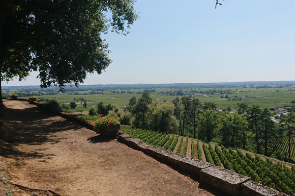Terraces of Chateau de Pressac