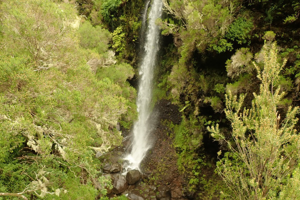Roaring waterfalls in Madeira