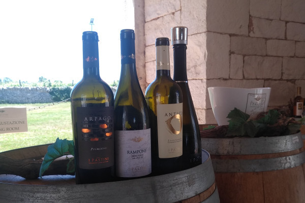 I Pastini wine selection