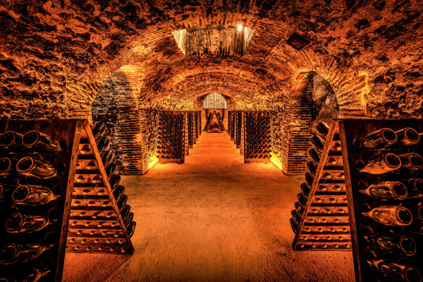 Boizel cellars