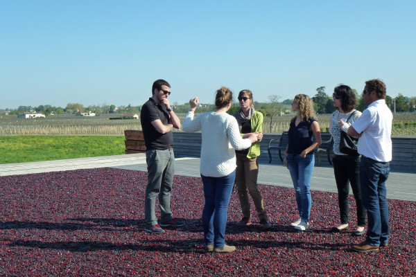 Winery visit
