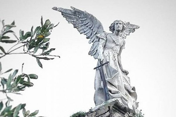 Exterminator angel