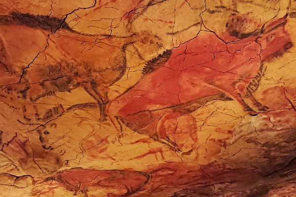 Altamira Museum - neocave
