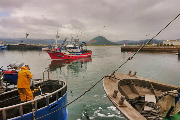 Fishing port of Santoña