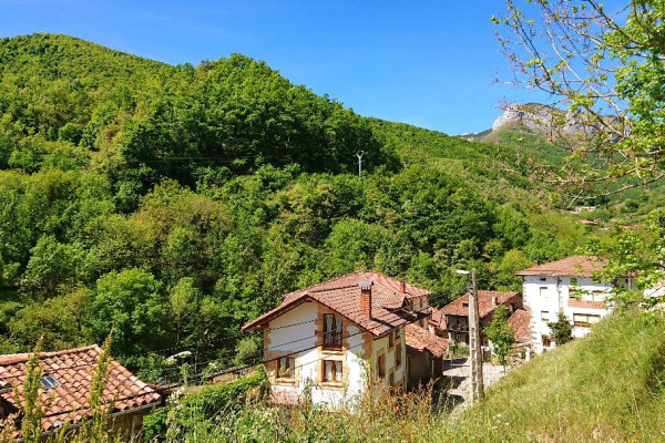 Liebana