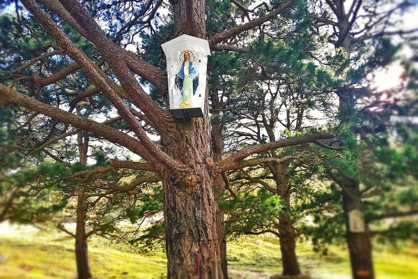 The Pines, Garabandal