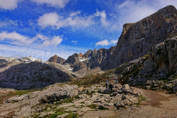 Picos de Europa