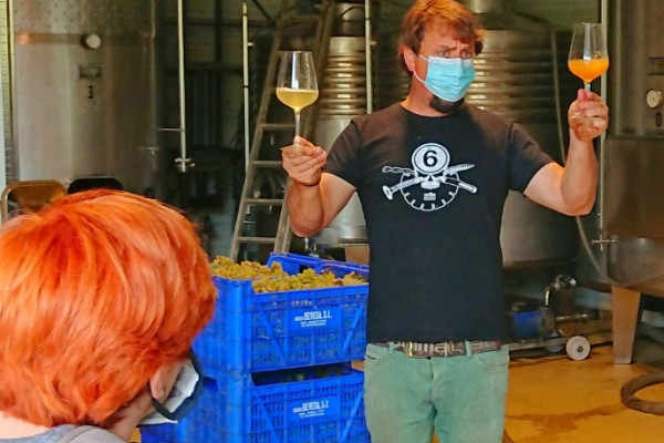 Bidular vineyard