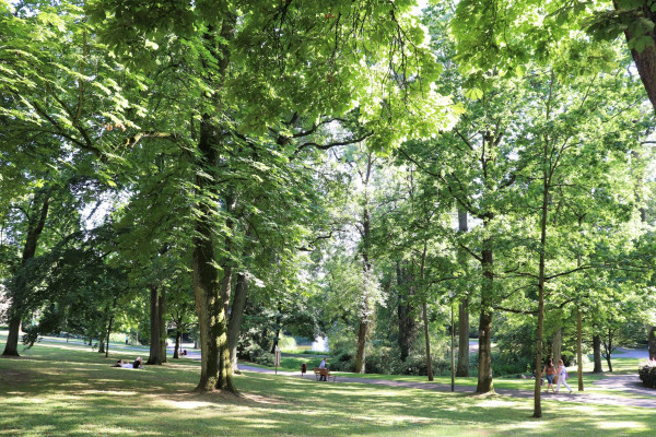 City Park - Municipal Park