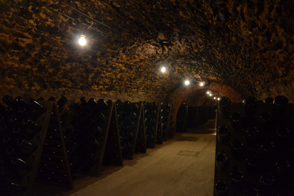 Cellar visit