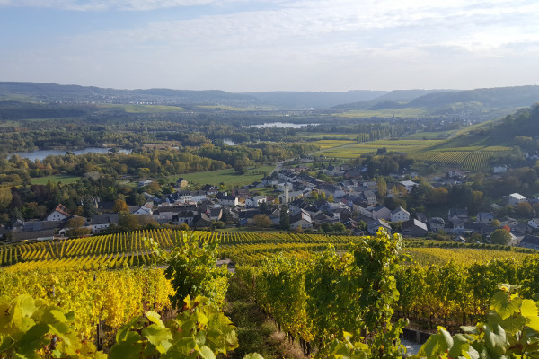 © Vist Moselle Luxembourg