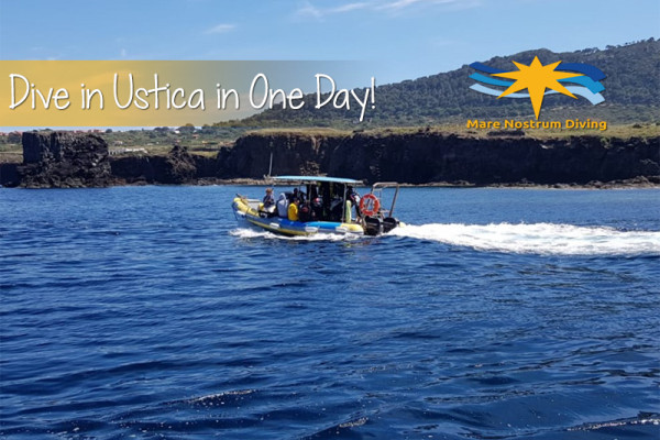 2 dives at different locations give you the opportunity to enjoy the coast of the volcanic island.
