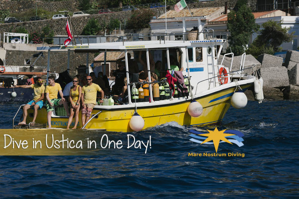 The Linosa Sunshine Dive Boat offers the best combination for scuba diving and comfort on board.