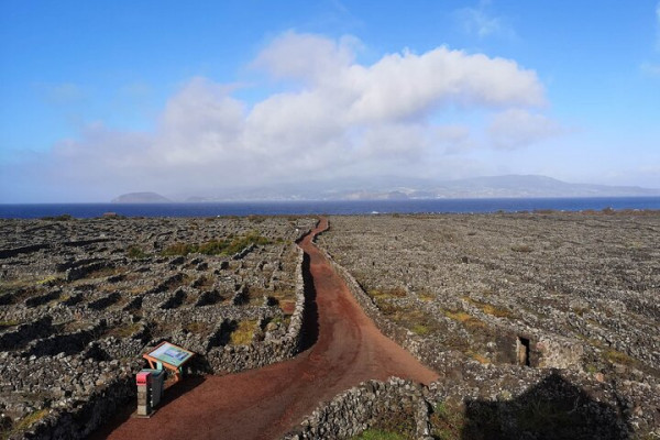 View on Faial