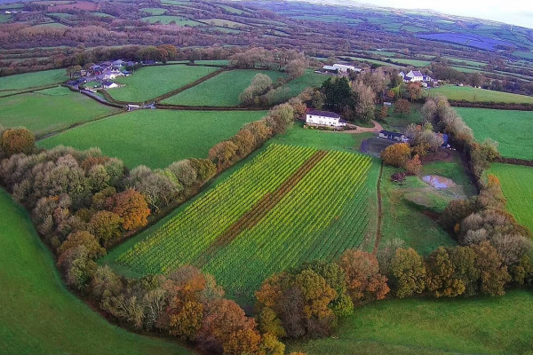 Velfrey Vineyard Pembrokeshire - by drone