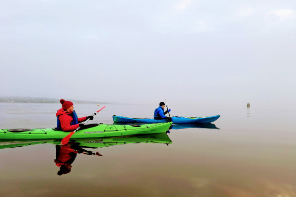 Slow pace sea kayaking experience - Outdoor Explore - Tayport, Fife