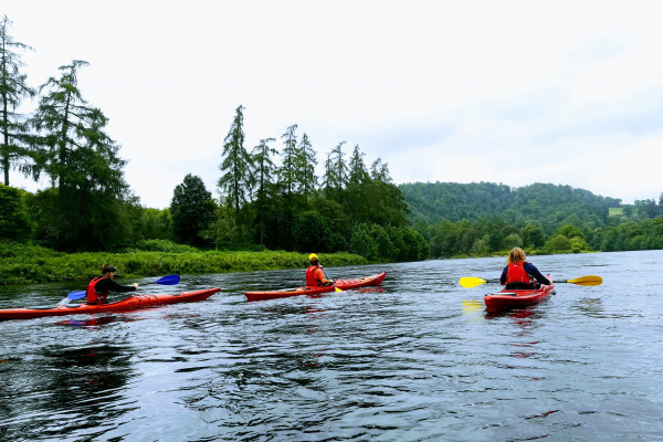 Guided kayak tour - Outdoor Explore - River Tay, Perthshire