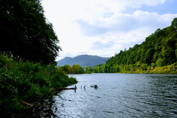 Scenic kayaking destination - Outdoor Explore - River Tay, Perthshire