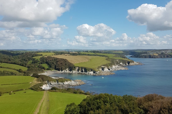 View from Gribbin Head