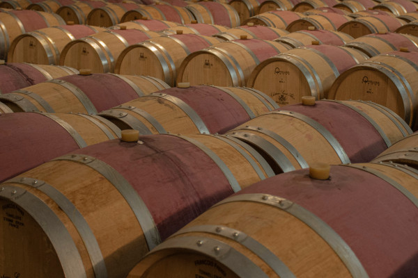 Visit of the barrel cellar
