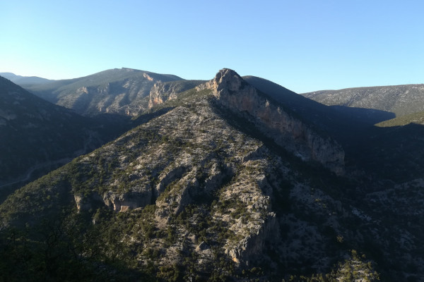 Kosmas Arcadia
