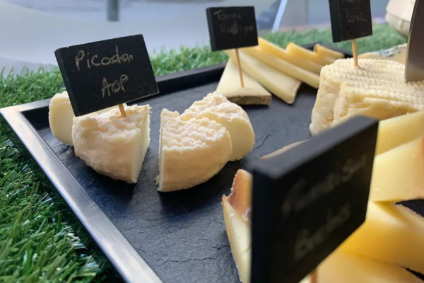 Mix of regional's cheeses