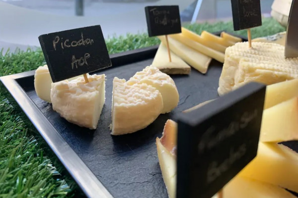 Mix of regional's cheeses