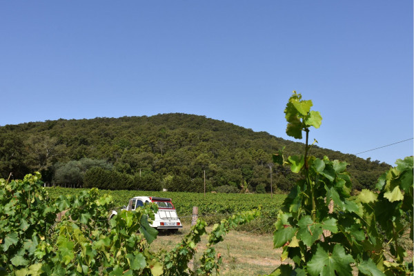 2CV wine tour with Beyond The Wine