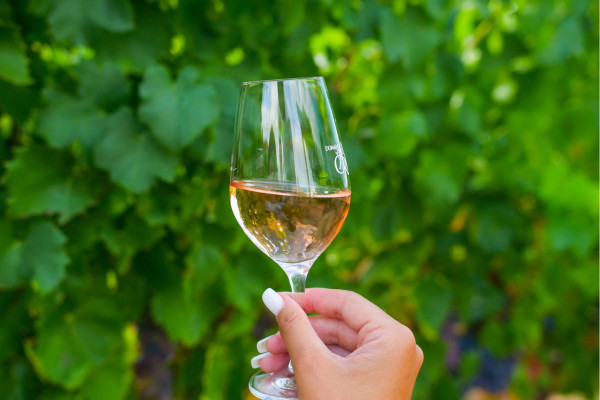 domaine de la croix, la croix-valmer 