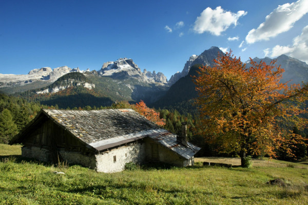 Autumn 
Foliage
