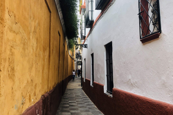Calle Vida in the Santa Cruz quarter