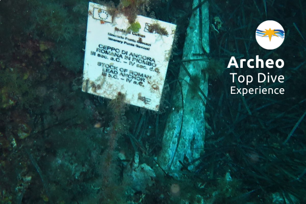 Visit the underwater museum of Ustica!
