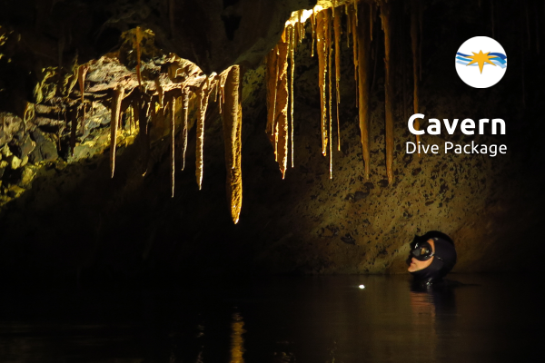 Explore the Cave Zone of Ustica with our expert and qualified dive guides. 