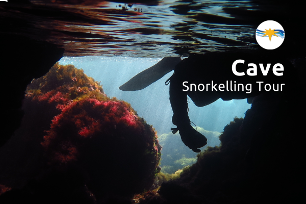 Join our exclusive Cave Snorkelling Tour! 