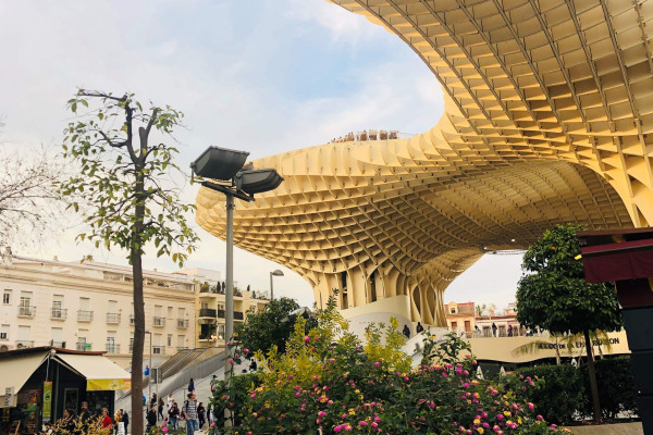 Metropol Parasol Setas de Sevilla Mushrooms