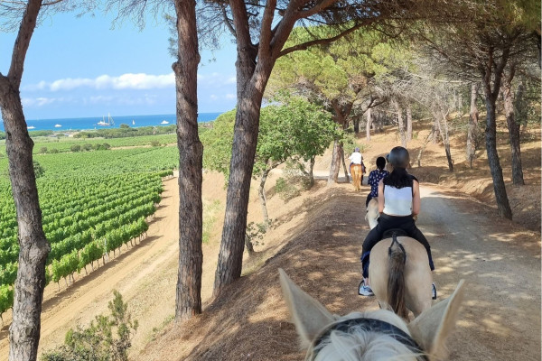 Horse back riding in the vineyards of Ramatuelle