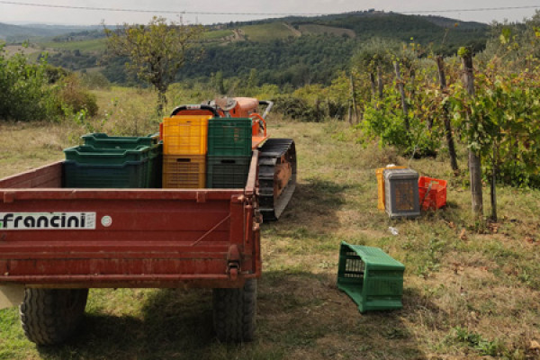 Chianti Farming