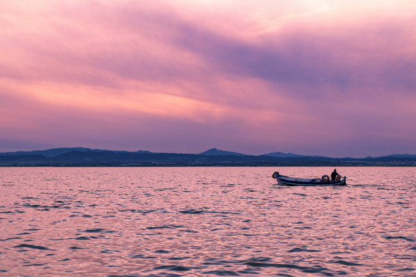 Albufera Tour with Paella