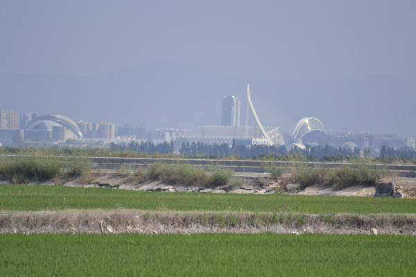 Valencia Tours